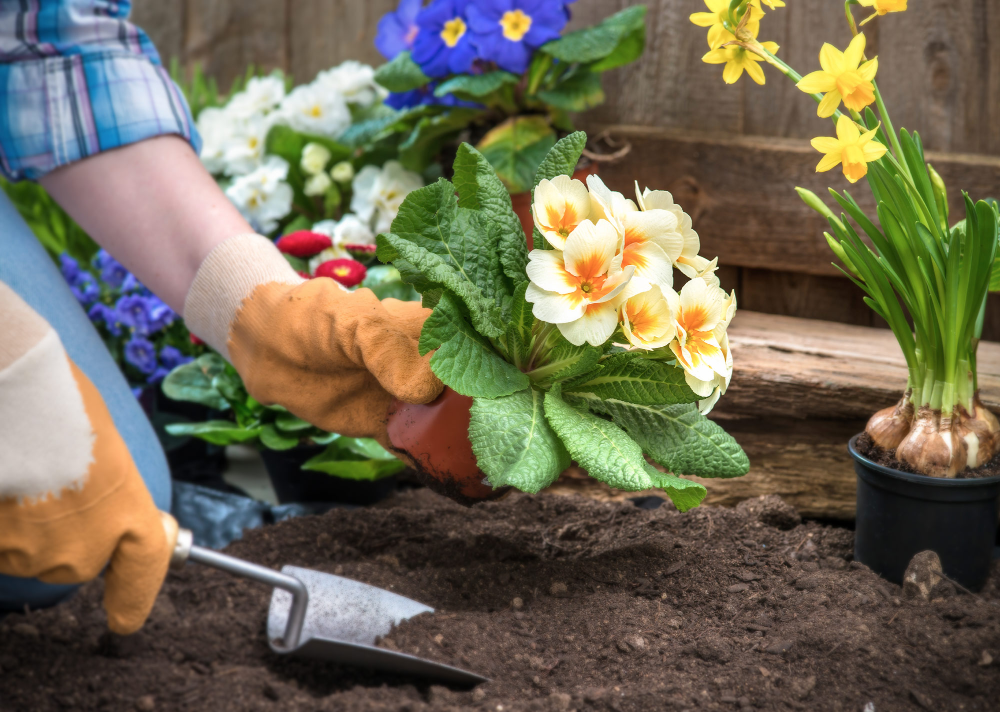 Certificate II in Horticulture